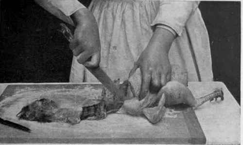 No. 1.   Cutting the neck of the fowl as high up in the body as possible