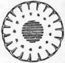 Satin stitch centre