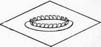 Sew this band firmly to snips. This forms the head band.