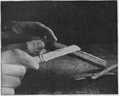Shave off the lower part of the twigs so that a considerable surface is exposed