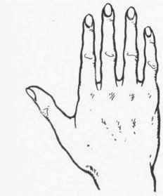 The Poetic Hand