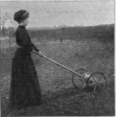 A two wheeled drill. used for sowing seed in a market garden. A brush and movable partition regulate the supply of seed passing through the coulter. Such drills cost about 15s.