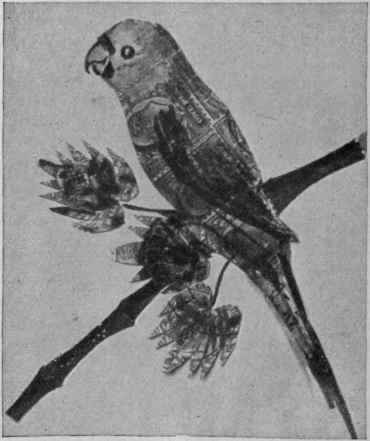 An ingenious design, a parrot and foliage depicted in used postage s:amps, with the aid of water colour painting