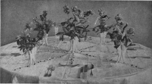 Fig. 4. A novel and pretty effect for a round table can be obtained by making a number of daisy chains and placing them from