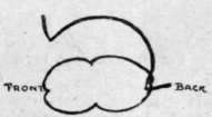 Fig. 6. One end of the wire is attached to the back of the circle of wire.