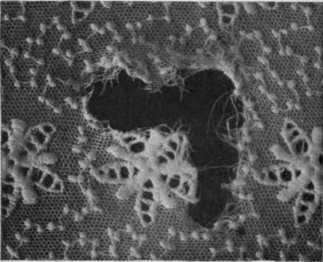 Fig. I. A tear in a piece of lace that may be mended by means of a patch of new net similar in shade and texture or silk