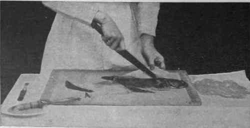 Fig.I.Filleting a plaice