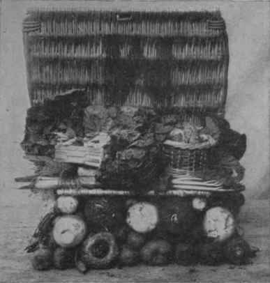 Packing. This shows a packed basket in section