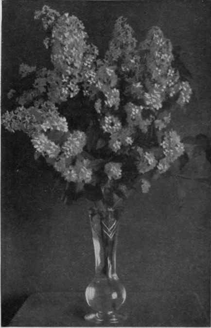 Red mauve lilac and sweet deutzia look well in a tall crystal vase