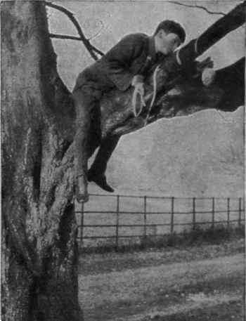 The boys' trails lead them a chase over many obstacles and often necessitate a difficult climb before the prize is captured