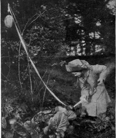 The end of a little girl's ribbon trail, the egg in sight
