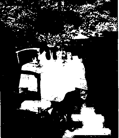 A serving table is very necessary in the garden. The butler's tray should always be used