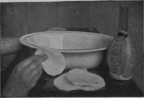 Cui eight or ten round pieces of cotton wool wadding and soak them in a pie dish in the finest Lucca oil