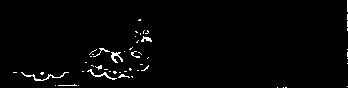 Fig. 1. The pattern of lace is drawn in Indian ink, and when drv a dark wash of paint or ink is put over it. When that is dry the pattern can be painted in with white paint