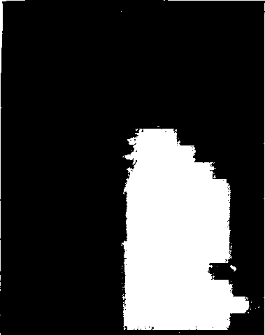 Fig. 4. Corded silk which has worn thin in several places and frayed