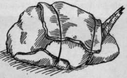 Fig. 5. How to bard game or poultry