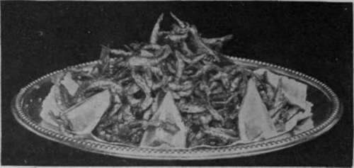 Fried Whitebait. These tiny fish are served piled up on a napkin garnished with pieces of lemon, thinly cut brown bread and butter