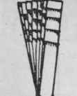 The Star Fan 60062