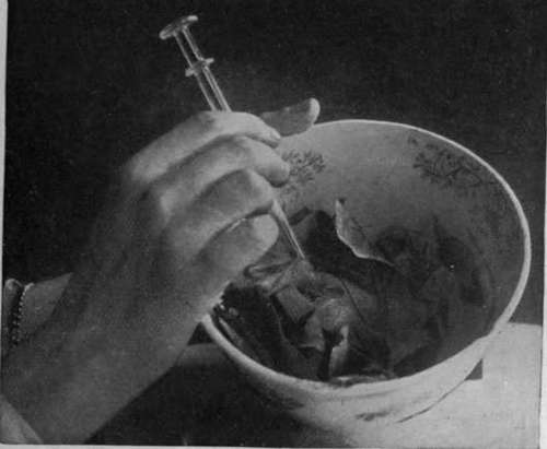 The leaves of any aromatic plants used must be well bruised, so as to allow their oil to escape, before they are placed in the jar