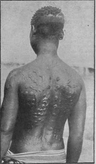 A Congo belle tattooed in approved native fashion. For a really eligible maiden a suitor will have to pay many goats and much cattle, in addition to other gifts