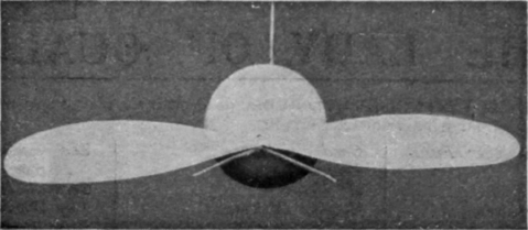 A flying insect. The wings should be cut out first. When they are wound up as described in the text, and then released, the insect will fly round in a circle