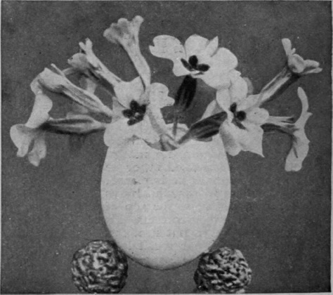 An empty eggshell can be made into a pretty little flower vase, supported on a base of marbles or large beads