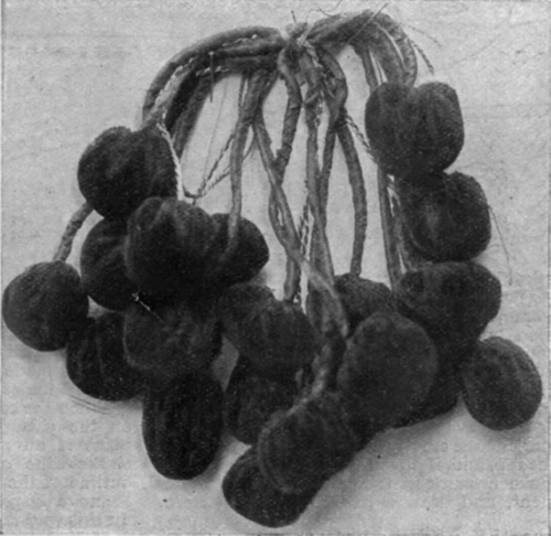 Brown velvet can be used with good results to fashion cherries, thick brown silk piping forming the stalks