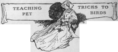 By Gladys Beattie Crozier