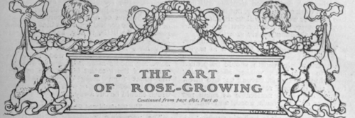 By Helen Colt, F.r.h.s.
