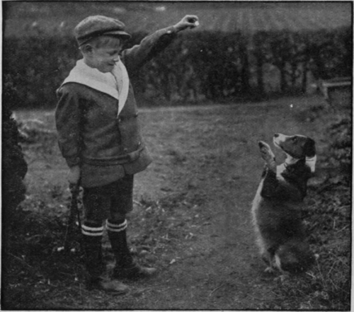From about the age of nine upwards, a child may be given a dog as his own pet, and encouraged to attend to it regularly and properly