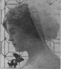 Miss Amy Castles