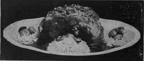 Stewed Fillet of Beef. This is one of the best ways in which to cook this part of meat to ensure it being tender and appetising