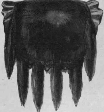 The small muff as it appears when remodelled. All the fur has been used for the front heads and tails have been added.