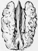 Kernel of Pecan.
