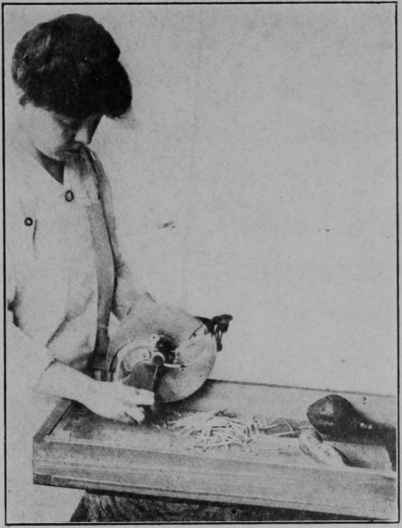 Fig. 16 - Slicing or cutting the product to be dehydrated is a vital part of the process. A rotary slicing machine like this, which is being used to cut sweet potatoes into strips, is a great time saver.