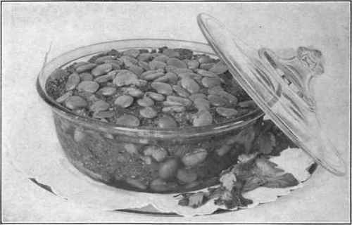 Casserole of Lima Beans and Beef