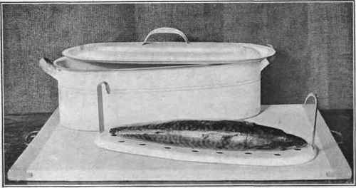 Fish, Ready to Boil