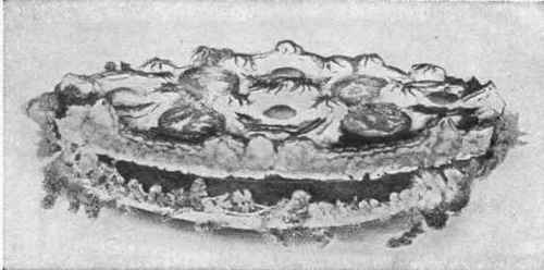 Planked Eggs.