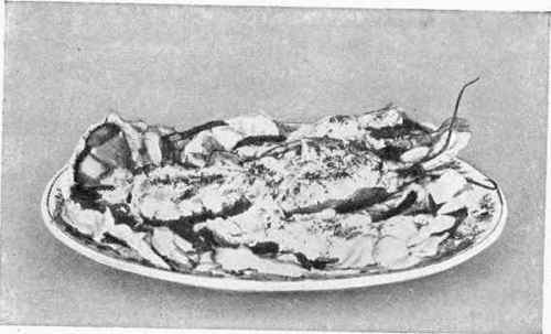 Lobster Salad III.