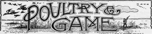 Paultry And Game.
