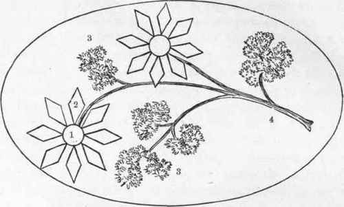 DAISY DESIGN FOR ASPIC JELLY FORMS.