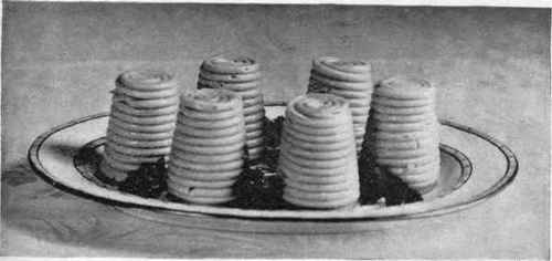 Spaghetti Timbales.