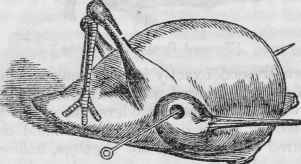 [Trussed Woodcock] each other, and raised over the breast, by which means each foot turns back and falls on the side of the rump.
