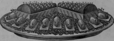 Rabbit a l'Epicurienne Lapin a l'Epicurienne