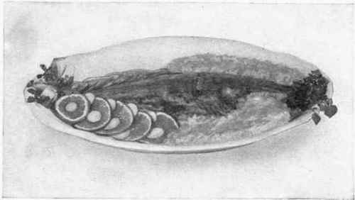 Broiled Pompano, Cucumber Hollandaise.