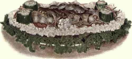Planked Rump Steak. Frontispiece.