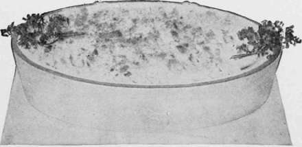 Shell Fish Preparation Of Oysters Cooking 113