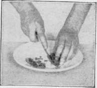 Working Directions To Be Followed By All Even Numb Cooking 179