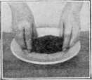 Working Directions To Be Followed By All Odd Numbe Cooking 100