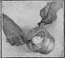Working Directions To Be Followed By All Odd Numbe Cooking 258